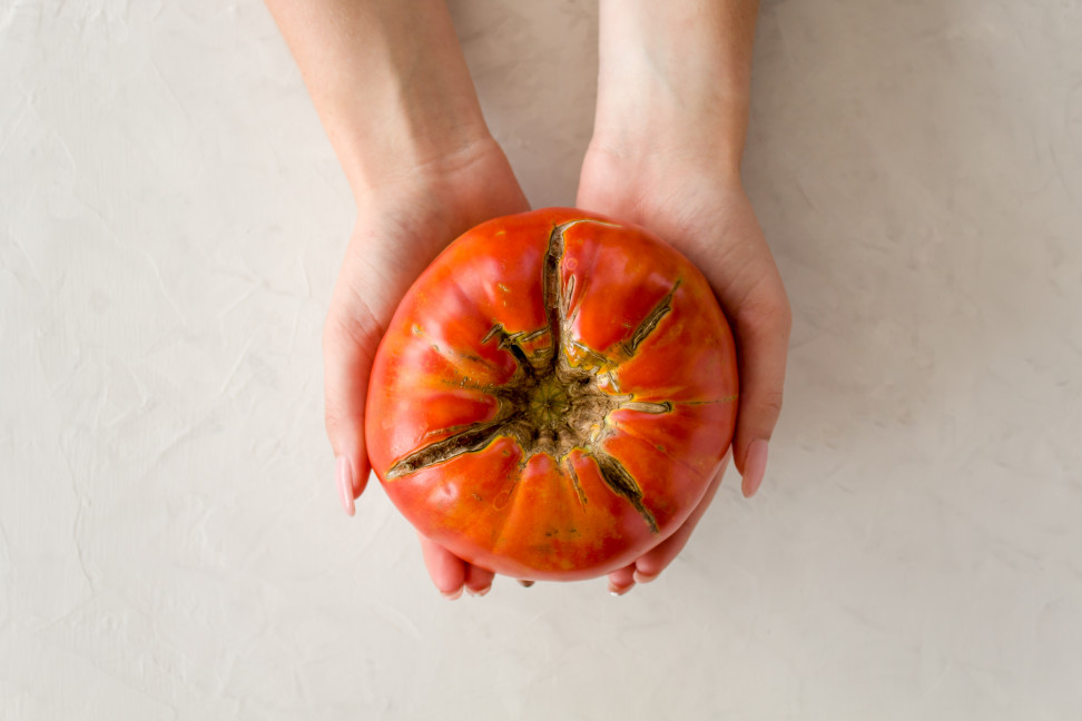tomate moche