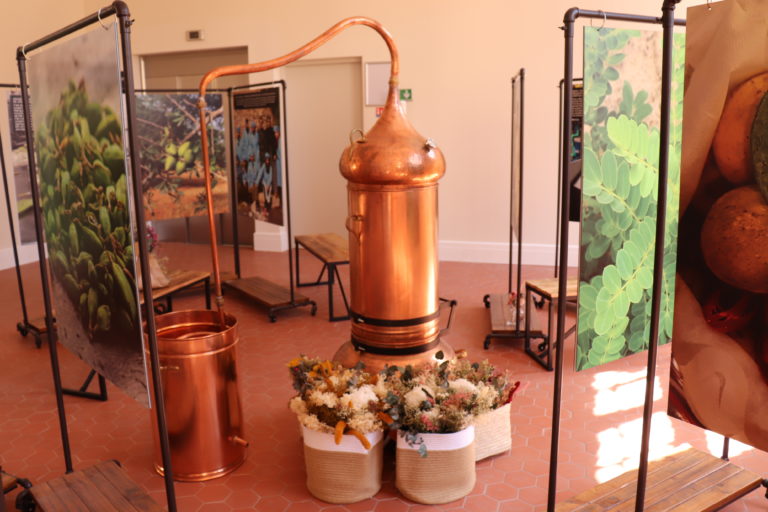 Visite de la boutique AromaZone d’AixenProvence Marketing Claire