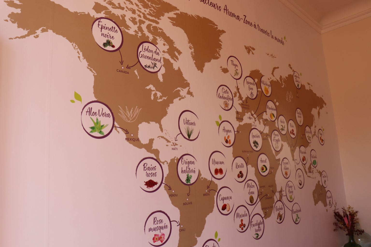 Visite de la boutique AromaZone d’AixenProvence Marketing Claire